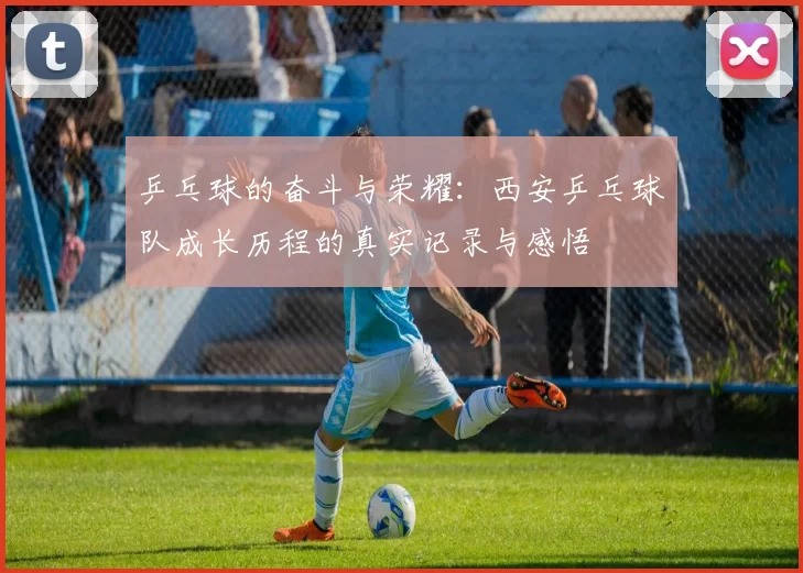 乒乓球的奋斗与荣耀：西安乒乓球队成长历程的真实记录与感悟