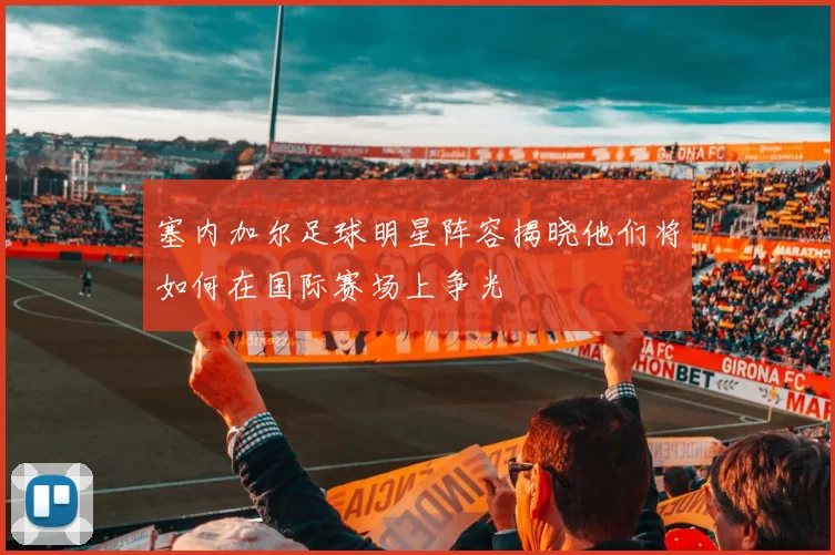 塞内加尔足球明星阵容揭晓他们将如何在国际赛场上争光