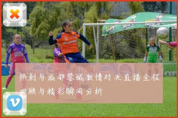 热刺与成都蓉城激情对决直播全程回顾与精彩瞬间分析