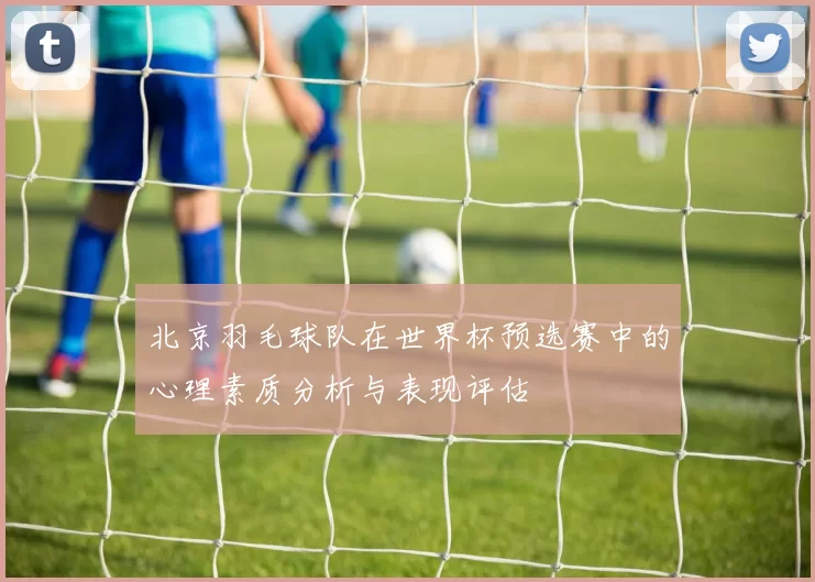 北京羽毛球队在世界杯预选赛中的心理素质分析与表现评估