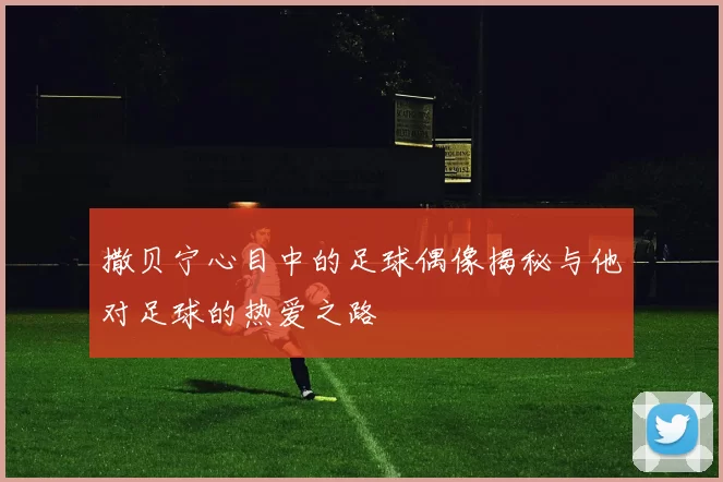 撒贝宁心目中的足球偶像揭秘与他对足球的热爱之路